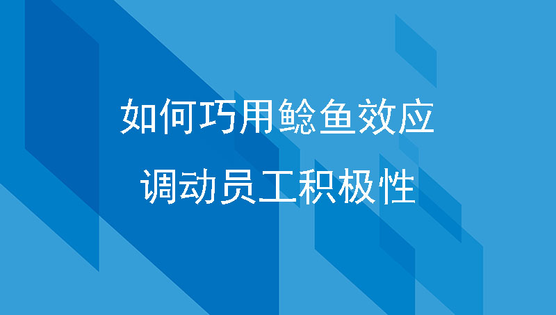 鲶鱼效应