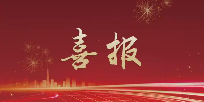 汇通软件科技参与的丝艾科技中国区项目团队（eHR系统升级），荣获CCL丝艾2022年度“最佳创新奖”