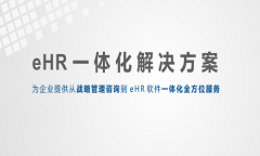 eHR系统厂商的分类、市场现状